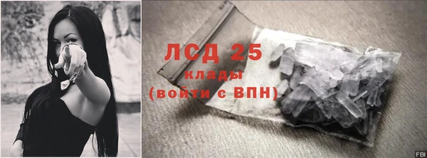 a pvp Бородино