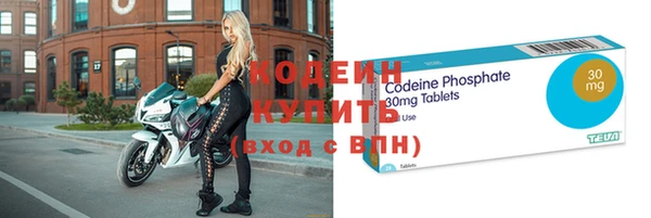прущие грибы Бронницы