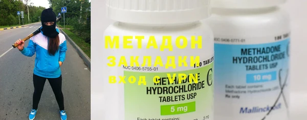 прущие грибы Бронницы