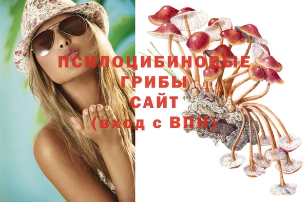 a pvp Бородино