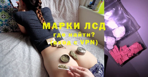 прущие грибы Бронницы
