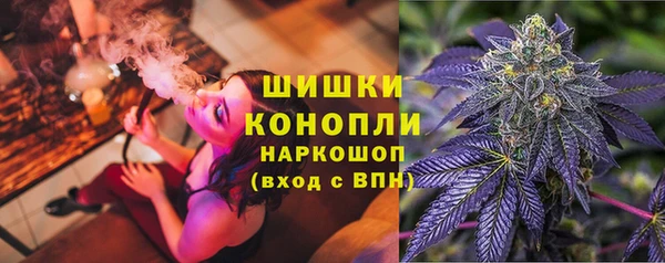 стафф Верхний Тагил