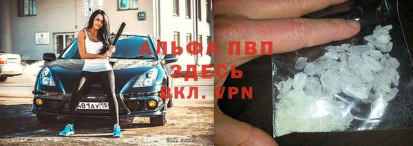 a pvp Бородино