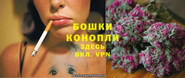 прущие грибы Бронницы