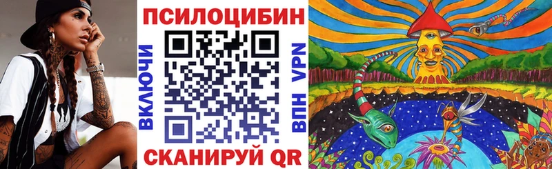 Галлюциногенные грибы Cubensis  блэк спрут ССЫЛКА  Весьегонск 